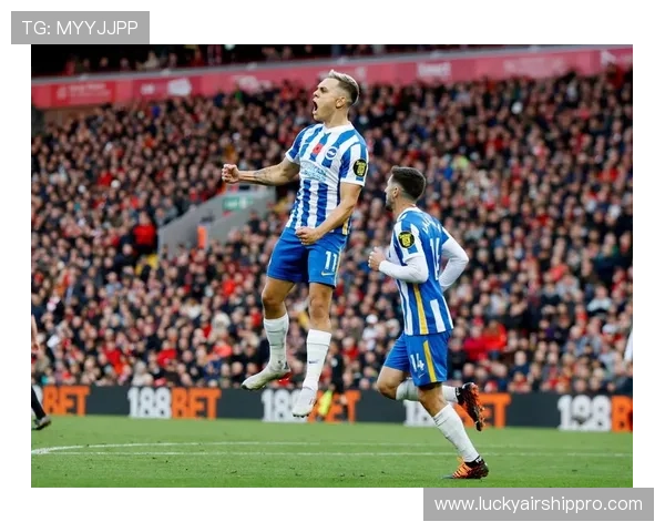 布莱顿社区活动获广泛好评，足球在社会中影响力持续提升